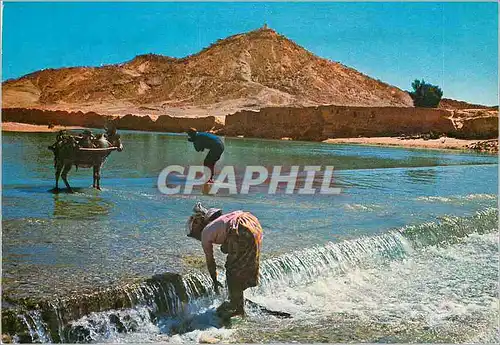 Cartes postales moderne Maroc typique Erfoud le Bordj