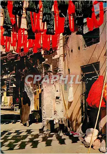 Cartes postales moderne Scenes et types du Maroc Souk des teinturiers