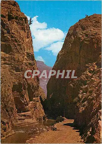 Cartes postales moderne Le Maroc Pittoresque Les gorges du Dades