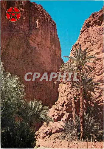 Cartes postales moderne Tinghir Les Gorges du Todra