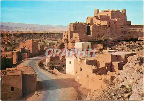 Cartes postales moderne Le Maroc Pittoresque El Kelaa des M Gouna La route des Kasbahs
