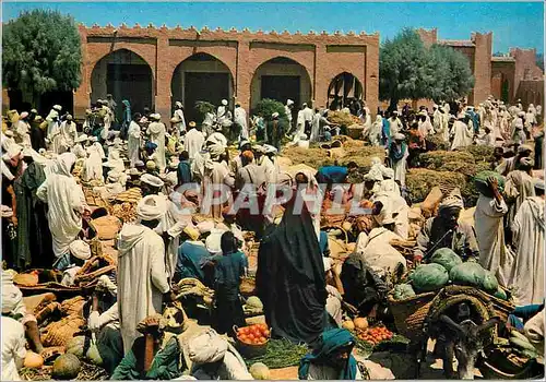 Moderne Karte Rissani Sud Marocain Jour du Souk Ane Donkey