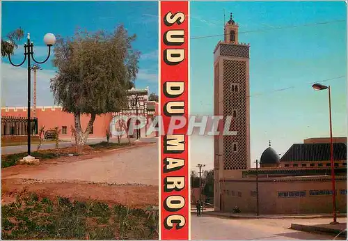 Cartes postales moderne Errachidia Mosquee Jardin