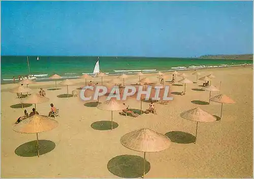 Cartes postales moderne Plage du Club Mediterranee dee Smir au Maroc