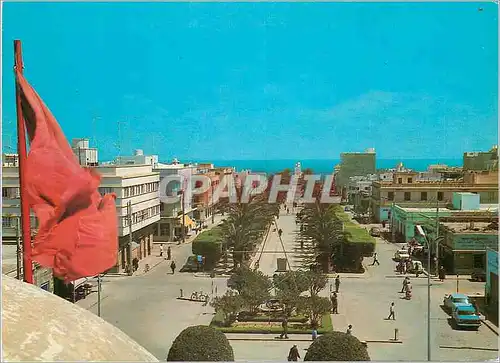 Cartes postales moderne Nador Avenue Mohammed V