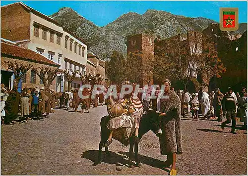 Moderne Karte Maroc typique Campesino Marroqui Ane Donkey