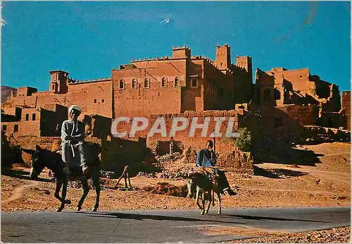 Moderne Karte Maroc typique Kasbah dans la vallee du Draa Ane Donkey