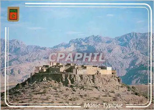 Cartes postales moderne Maroc typique