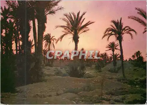 Moderne Karte Maroc Typique Couche de soleil