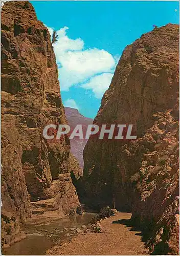 Cartes postales moderne Le Maroc pittoresque Les gorges du Dades