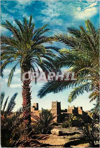 Cartes postales moderne Ksour dans la vallee du Draa