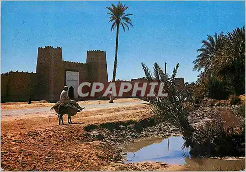 Cartes postales moderne Maroc Pittoresque L Entree du Ksar