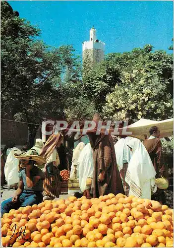 Cartes postales moderne Soux aux oranges