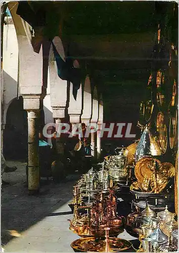 Cartes postales moderne Pittoresque Afrique du Nord
