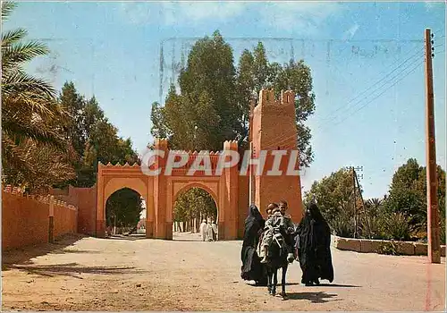 Cartes postales moderne Sud Marocain Porte d entree Ane Donkey