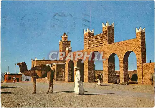 Cartes postales moderne Agdz L Entree du Marche