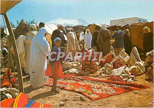 Cartes postales moderne Maroc typique Marchande de Tapis