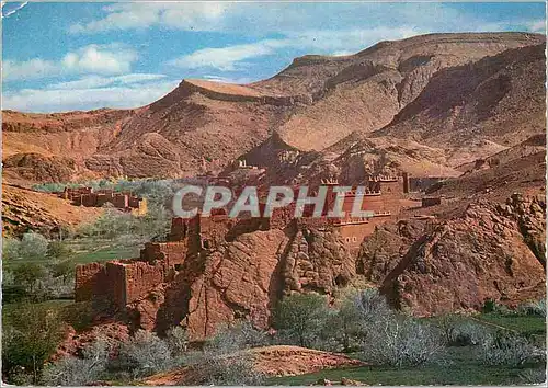Cartes postales moderne Le Maroc Pittoresque Vallee du Dades