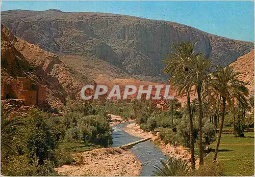 Cartes postales moderne Maroc Typique La Vallee du Dra