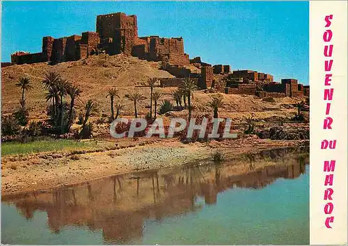 Cartes postales moderne Maroc Typique Kasbah dans l Oasis