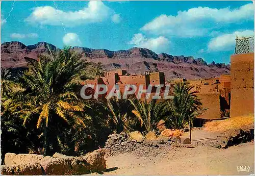 Cartes postales moderne Sud Marocain Region de Ouarzazate Kasbah dans la vallee du Draa