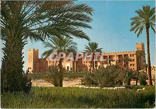 Cartes postales moderne Erfoud Grand Hotel du Sud