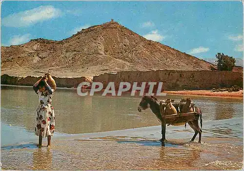 Cartes postales moderne Erfoud Le Bordj et l Oued Ziz An eDonkey