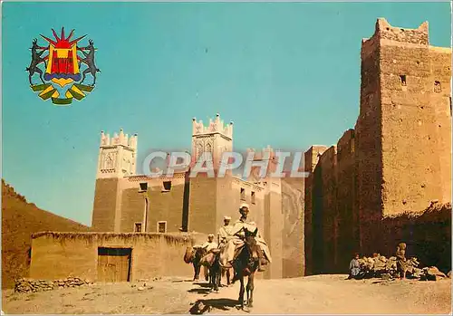 Cartes postales moderne Ksars de la Vallee du Dades Ane Donkey