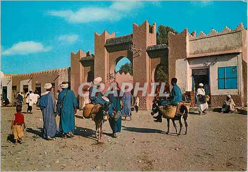 Cartes postales moderne Sud Marocain tafilalet L entree du Souk Ane Donkey