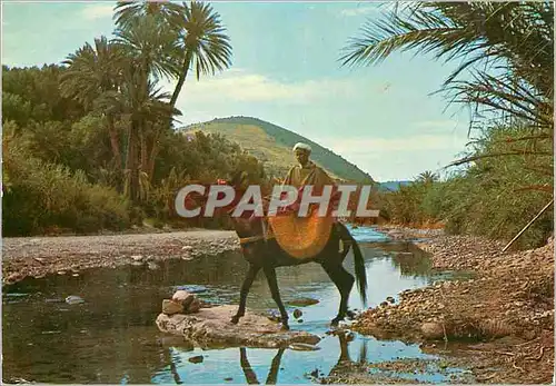 Moderne Karte Maroc Typique Vallee du Dra