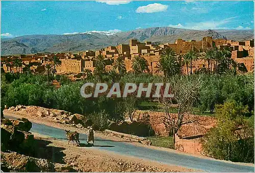 Cartes postales moderne Maroc Pittoresque La vallee du draa