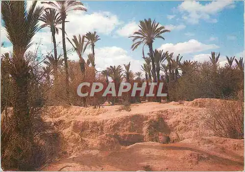 Cartes postales moderne Maroc Typique