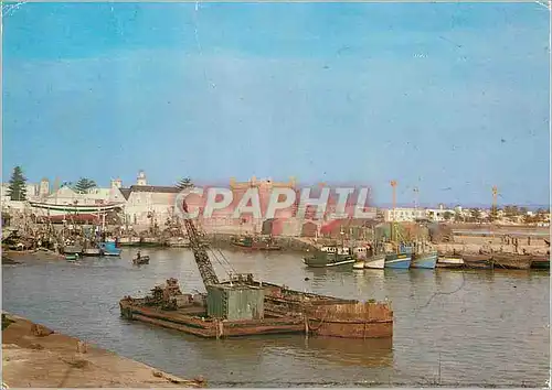 Cartes postales moderne Essaouira Vue sur le Port Bateaux
