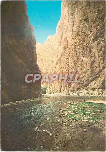 Cartes postales moderne Tinghir Gorge Todra