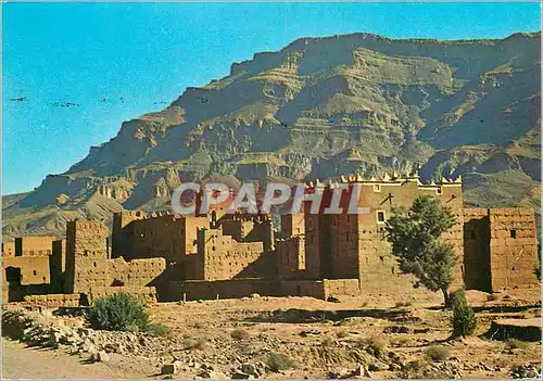 Cartes postales moderne Le Maroc Pittoresque Dans la vallee du Draa