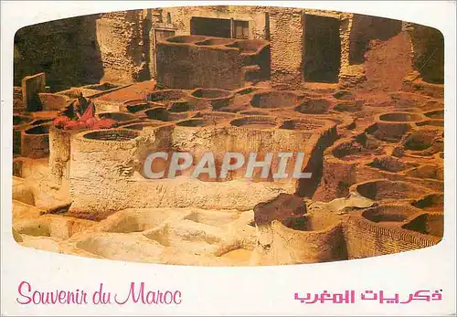 Cartes postales moderne Souvenir du Maroc Les Tanneurs