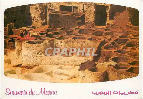 Moderne Karte Souvenir du Maroc Les Tanneurs