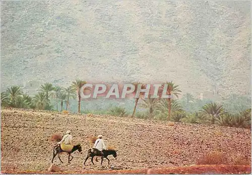 Cartes postales moderne Maroc Infini Region d Erfoud