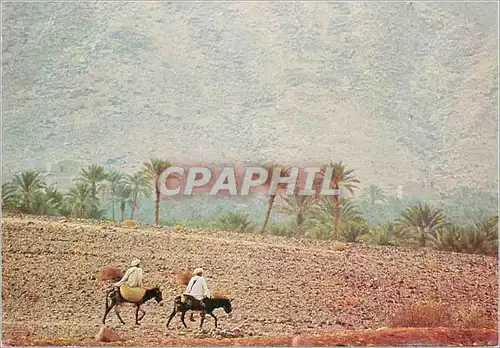 Moderne Karte Maroc Infini Region d Erfoud