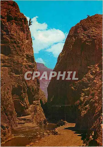 Cartes postales moderne Le Maroc Pittoresque Les gorges du Dades