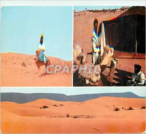 Moderne Karte Sahara Marocaine