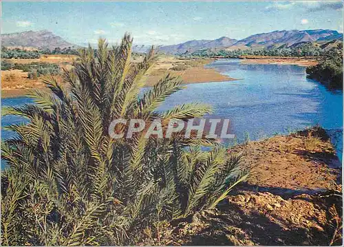 Cartes postales moderne Le Maroc en Lumicolor La Vallee du Draa