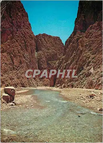 Cartes postales moderne Scenes et Types du Maroc Les Gorges du Todra