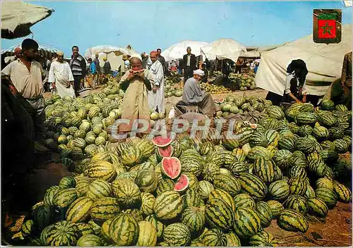Cartes postales moderne Agadir Gran Zoco