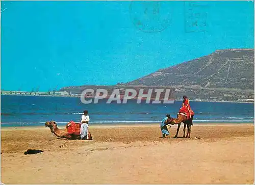 Cartes postales moderne Agadir Oufella vue de la plage du Club Mediterranee