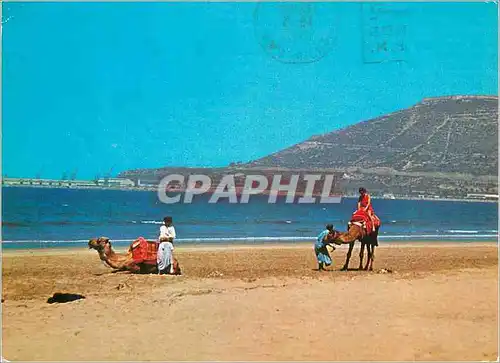 Moderne Karte Agadir Oufella vue de la plage du Club Mediterranee