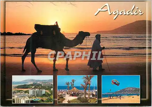 Cartes postales moderne Souvenir d Agadir