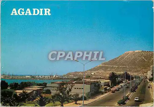 Cartes postales moderne Agadir Avenue Mohammaed V