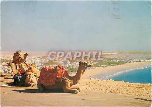 Moderne Karte Agadir Vue panoramique