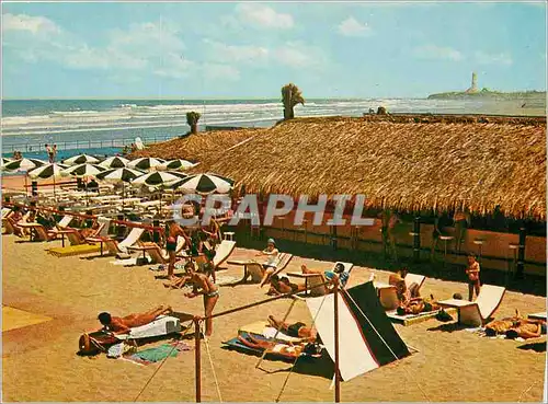 Cartes postales moderne Casablanca